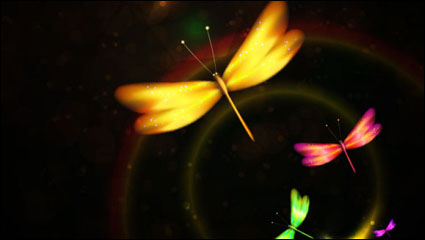 Colorful dragonfly - vector material