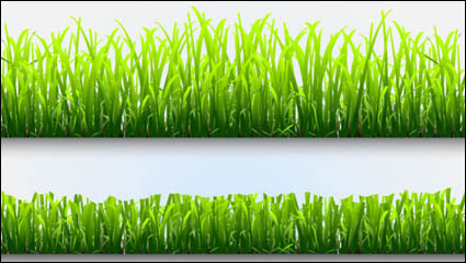 Plant 02 - Vector