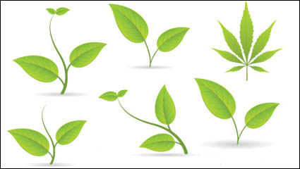 Leaves material 01 - vector material