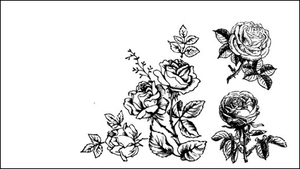Hand-painted flowers material 01 - vector material
