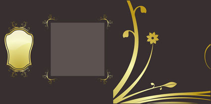 gold lace material