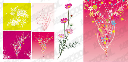 colourful flower