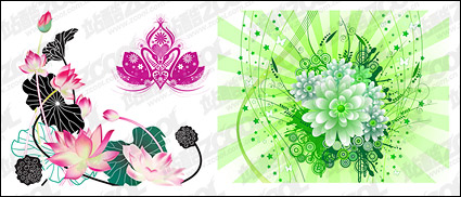 Lotus vector