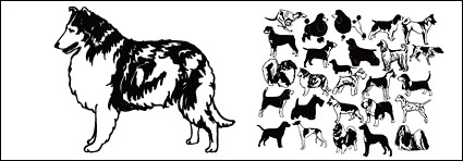 dogs