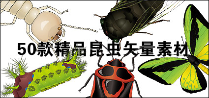 exquisite insects-1